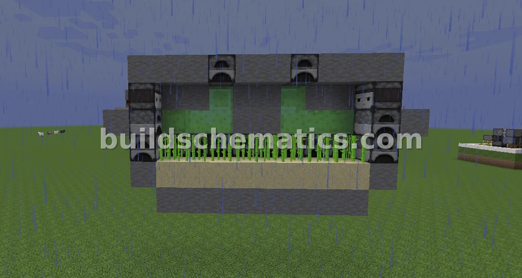 Viniccius13 Sugarcane Farm