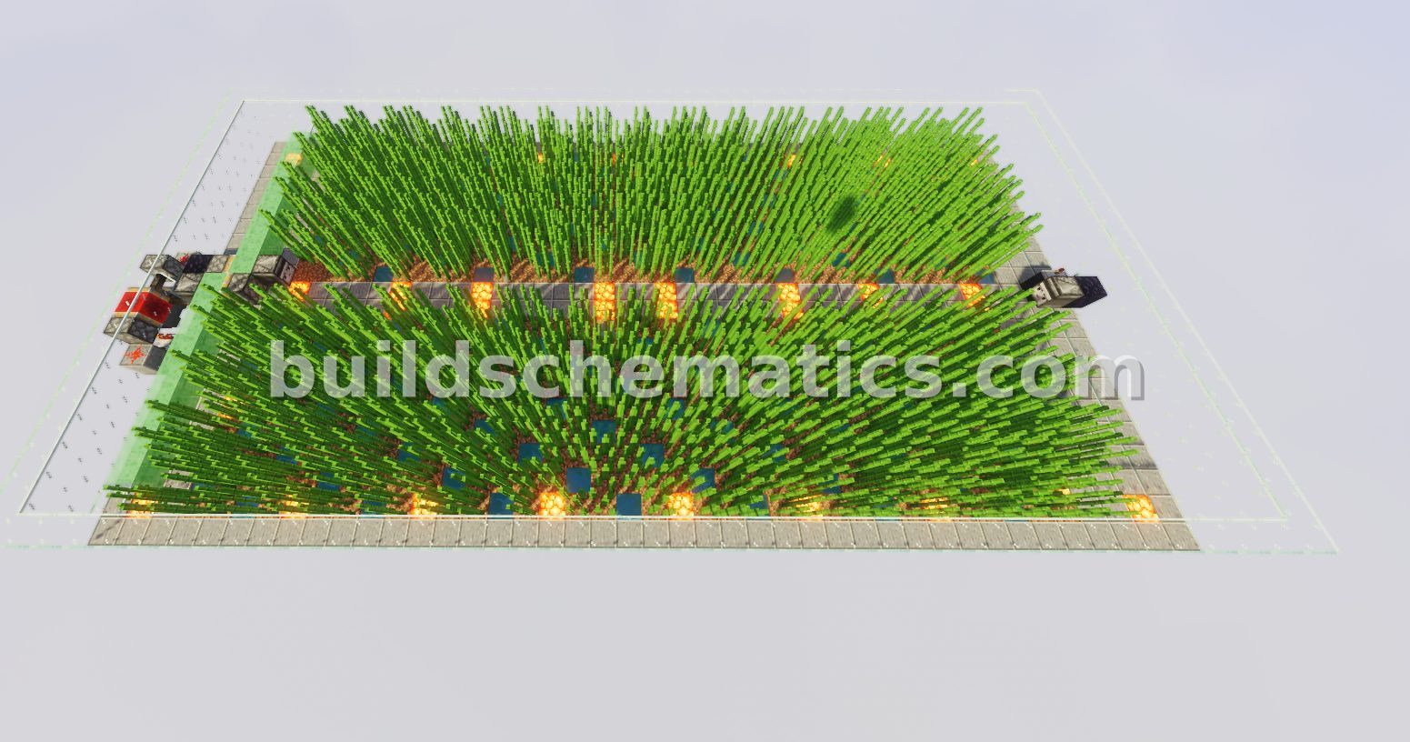 High-Capacity Sugar Cane Farm