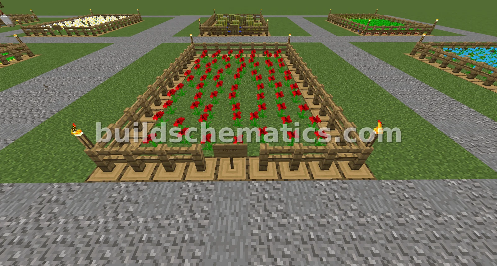 Poppy Farm
