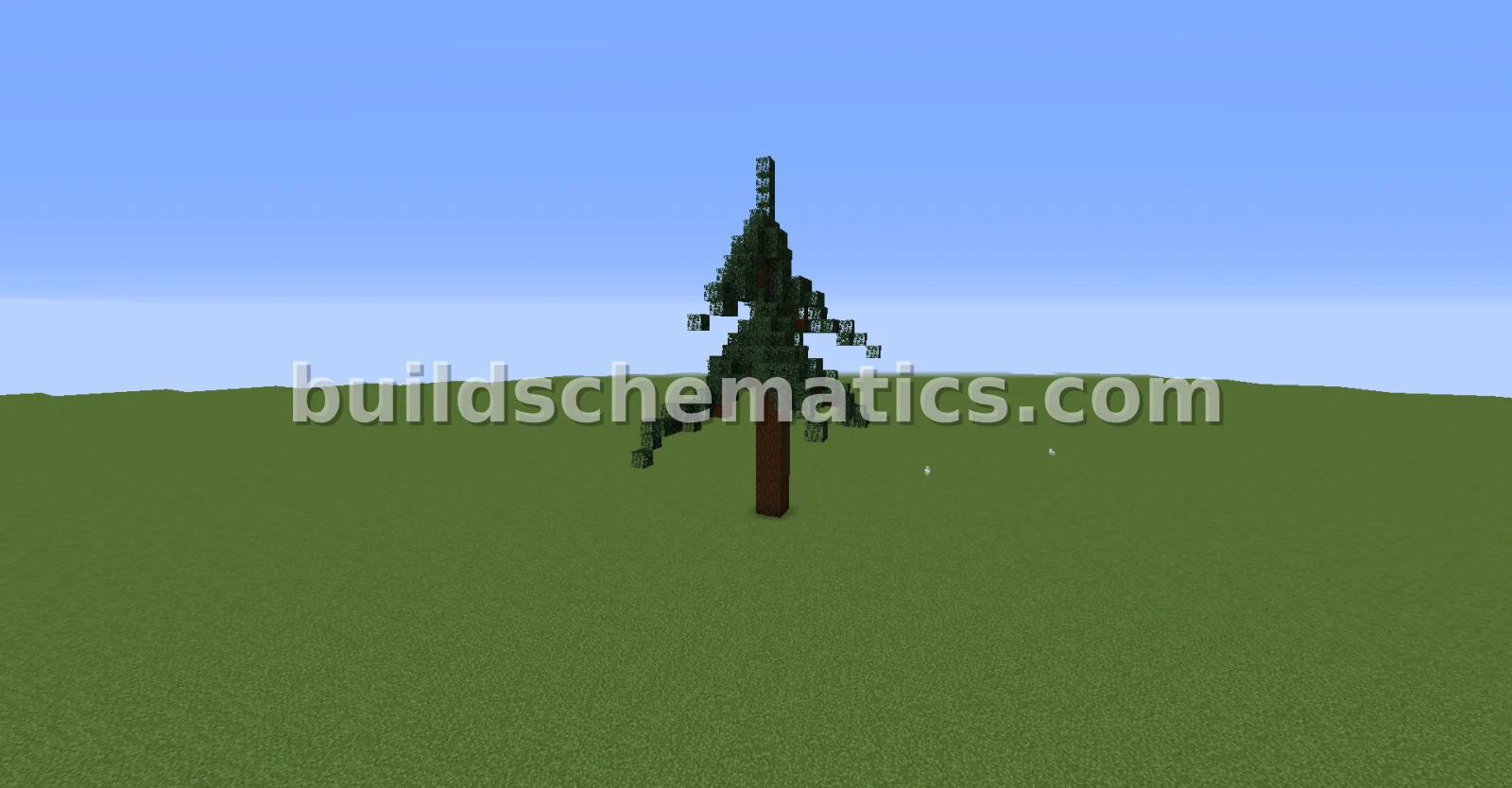 Spruce Tree Build
