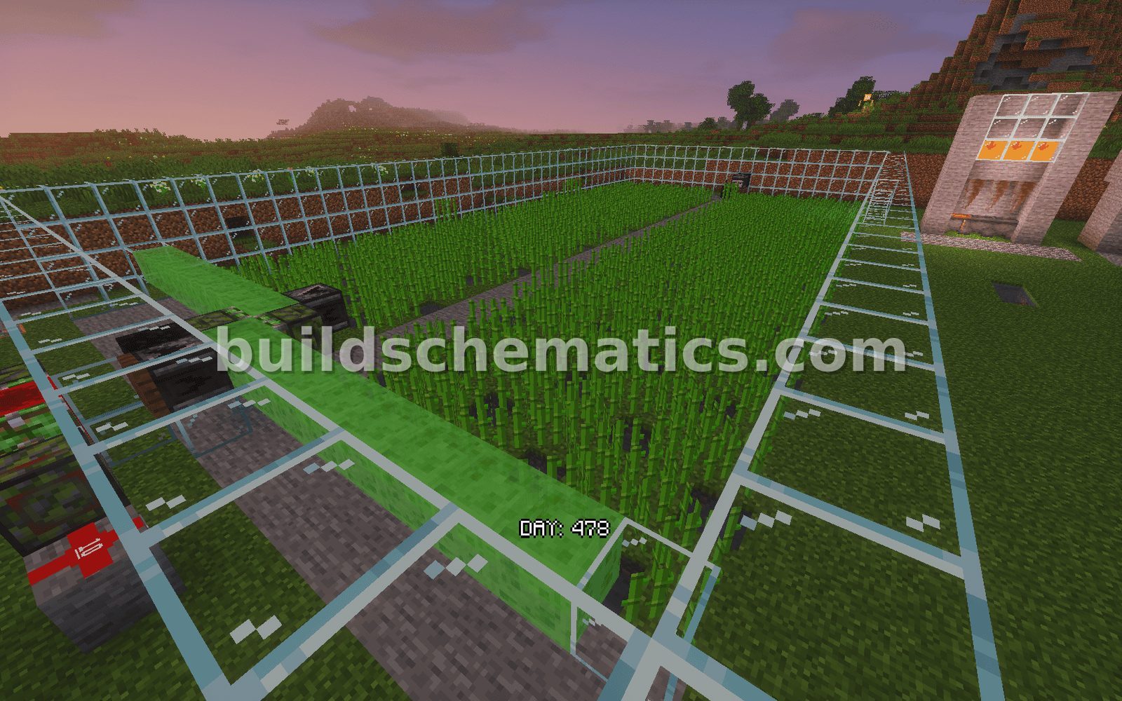 Efficient Sugar Cane Farm