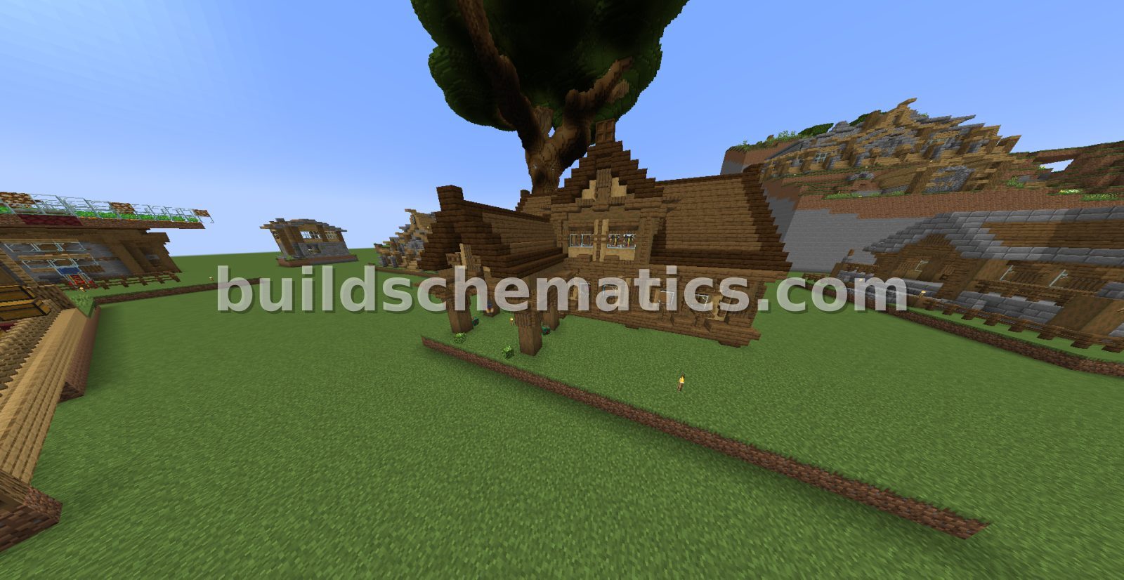 Cool Turtle House