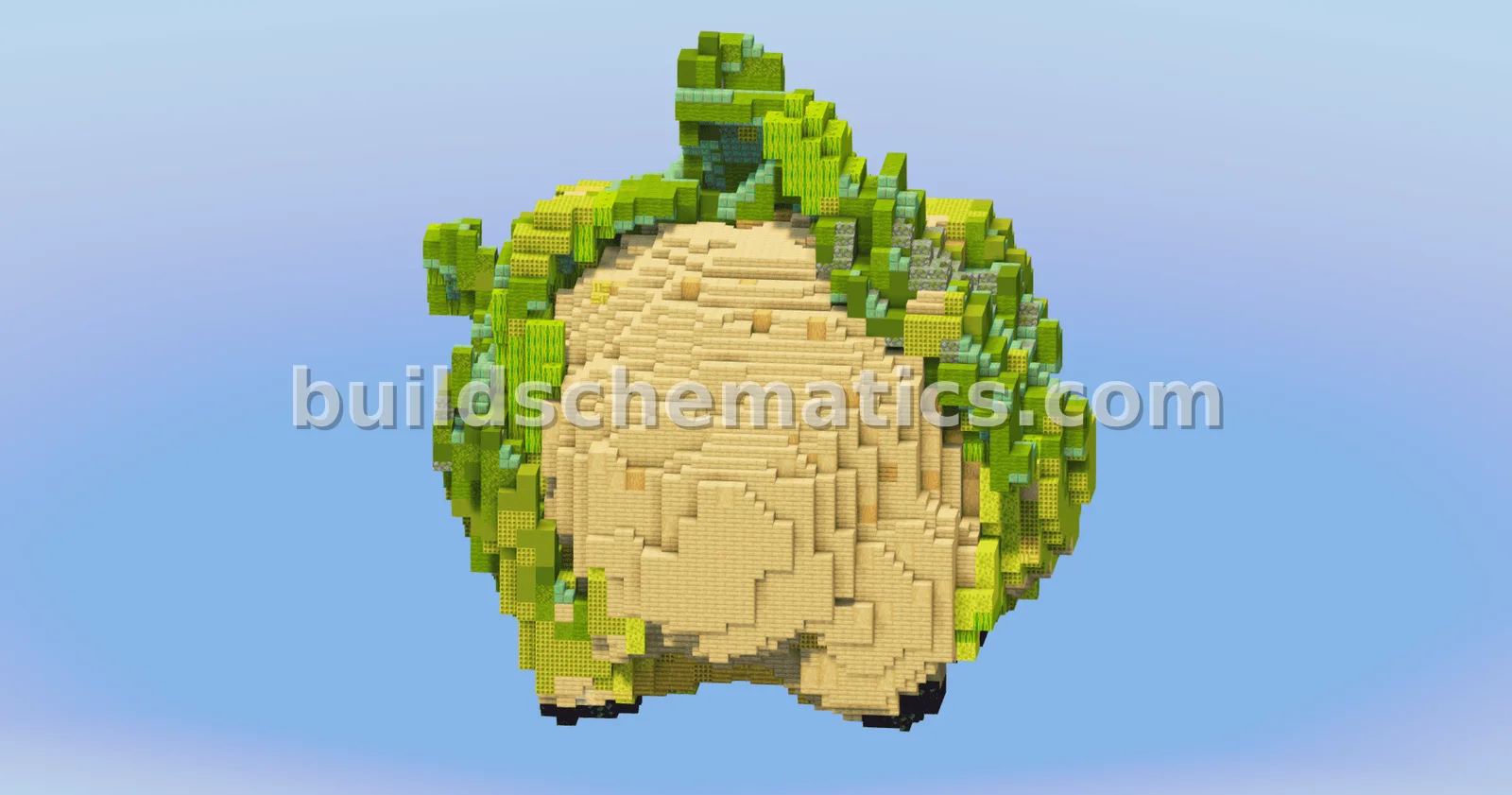 Cauliflower Vegetable Decoration