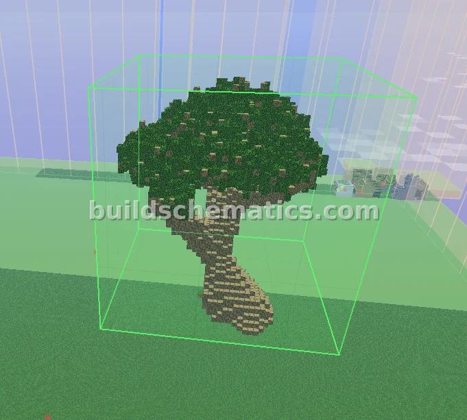 Large Organic Tree