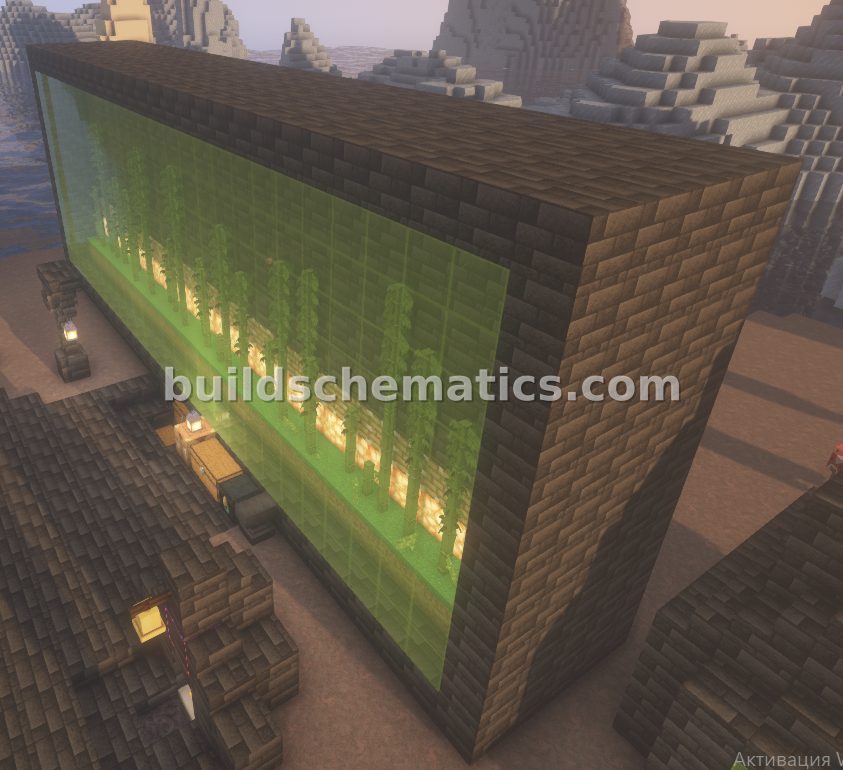 Efficient Thin Bamboo Farm